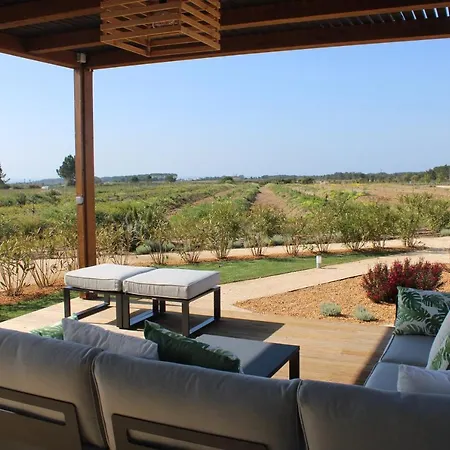 Quinta Do Planalto Vicentino - Holiday home *