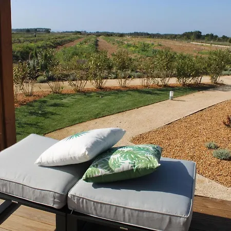 Сasa de vacaciones Quinta Do Planalto Vicentino -