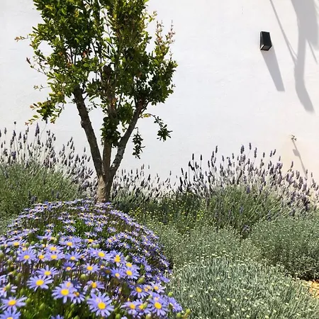 Quinta Do Planalto Vicentino - *