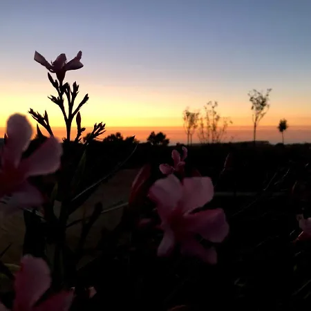 Holiday home Quinta Do Planalto Vicentino - *