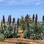 別荘 Quinta Do Planalto Vicentino - *