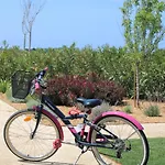 別荘 Quinta Do Planalto Vicentino - アルジェズール