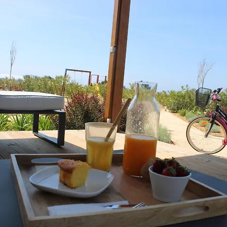 Quinta Do Planalto Vicentino - 別荘 *
